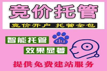 某企业通过SEM实现品牌与销售双增长的案例